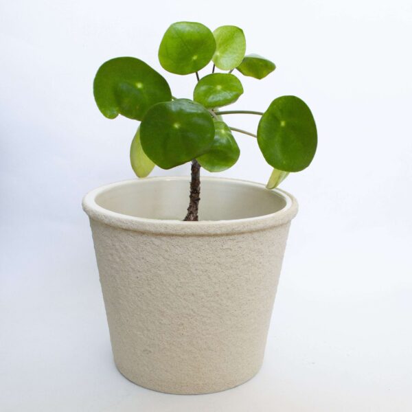 Vintage bloempot groot