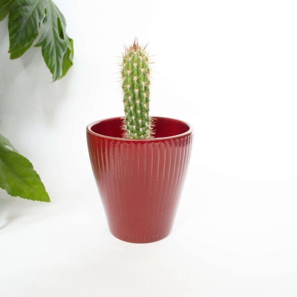 Vintage bloempot rood ribbel