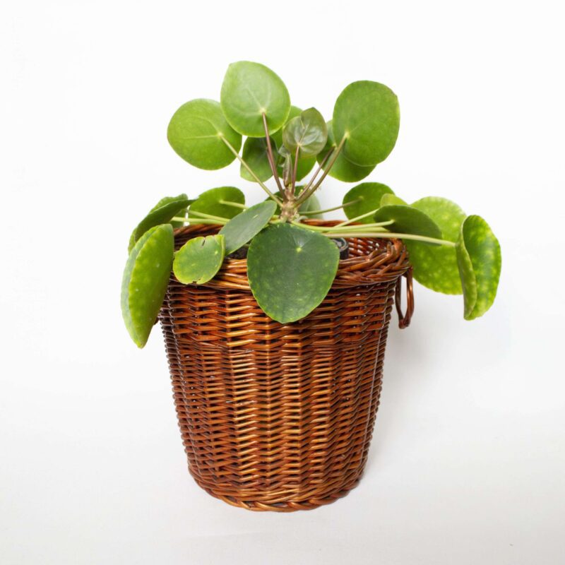Vintage rotan mand - Afbeelding 2
