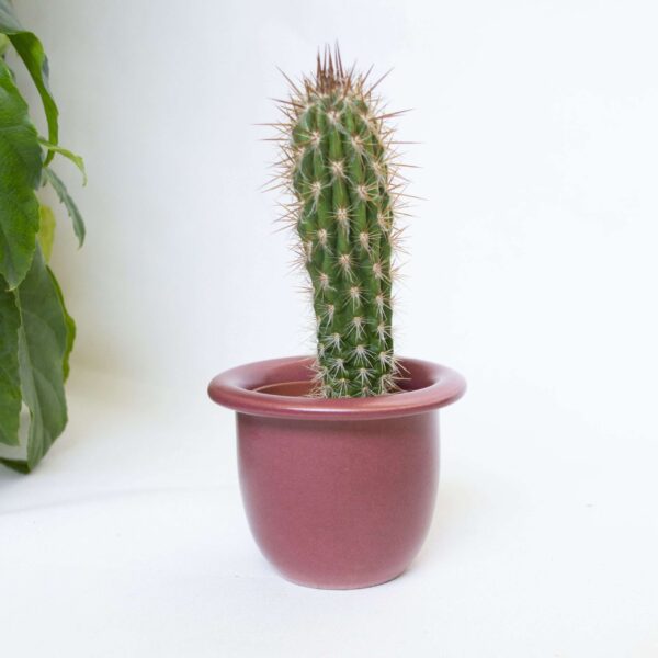 Vintage bloempotje roze