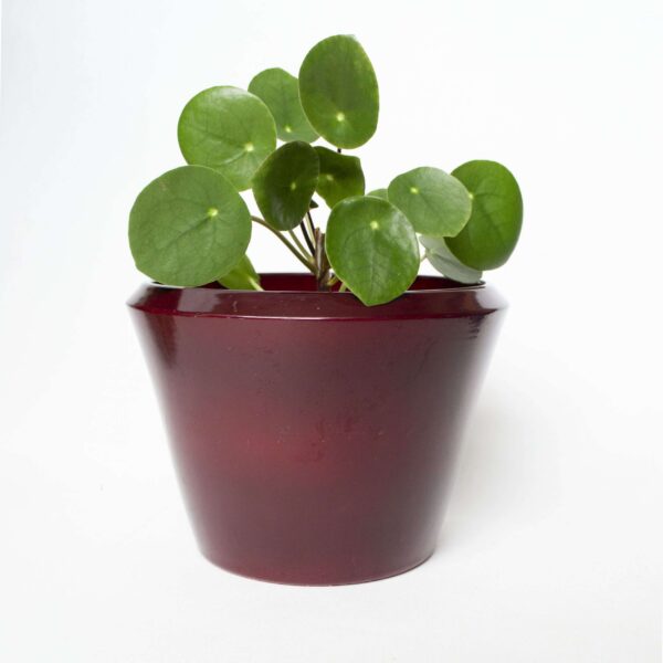 Vintage bloempot diep rood