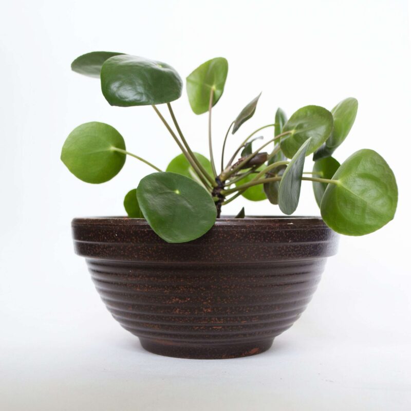 Vintage bloempot spikkels bruin - Afbeelding 2