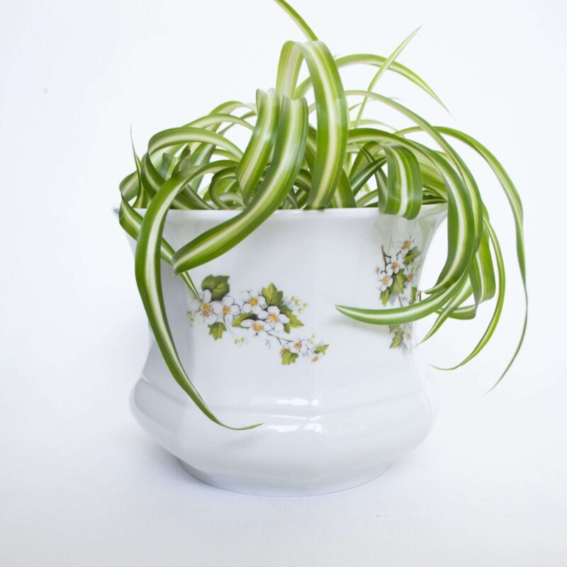 Vintage bloempot groot bloemen - Afbeelding 2