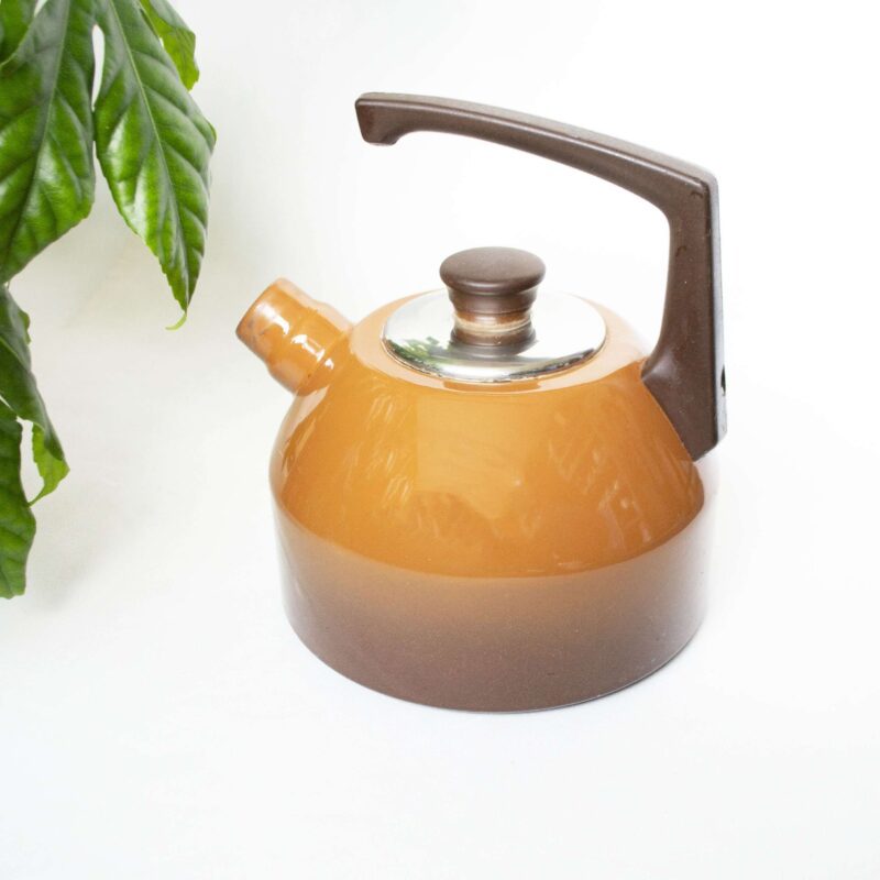 Vintage fluitketel bruin