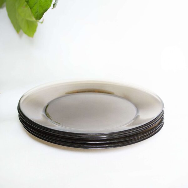 Vintage bord plat groot rookglas set 6