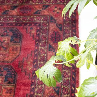 Vintage tapijt donkerrood 250 x 350