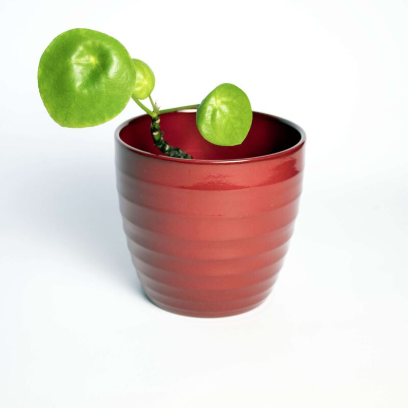 Vintage bloempot rood Scheurich