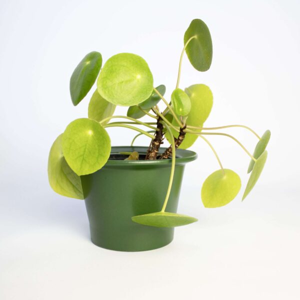 Vintage bloempotje groen