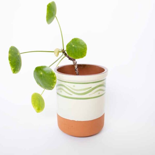 Vintage bloempot duo crème/terracotta
